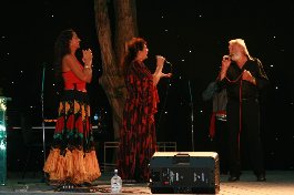 Цыганский ансамбль Джелем